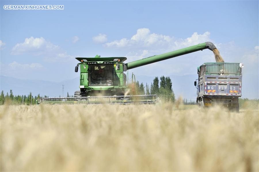 #CHINA-XINJIANG-WHEAT-HARVEST (CN)