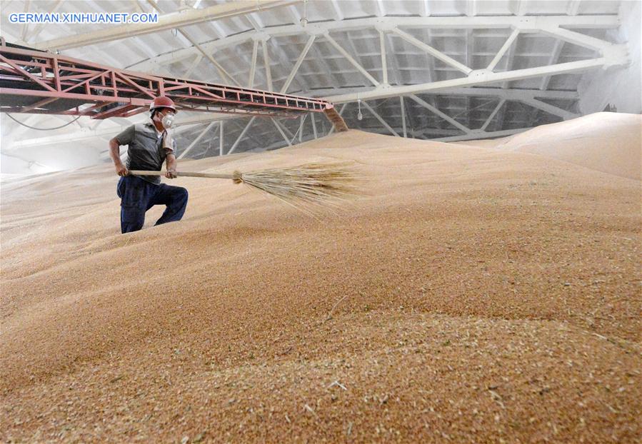 #CHINA-XINJIANG-WHEAT-HARVEST (CN)