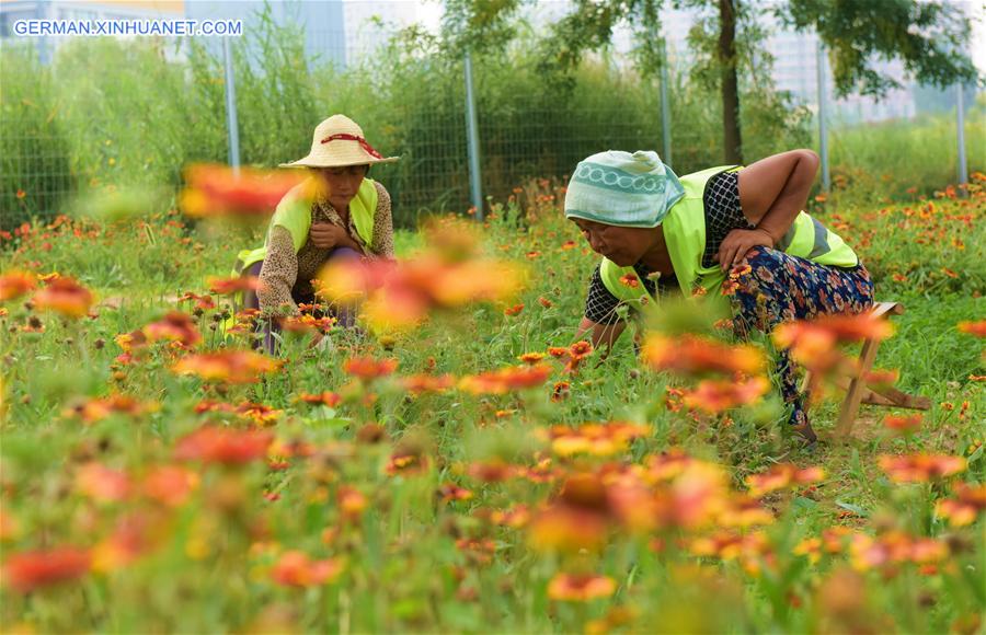 CHINA-HEBEI-HENGSHUI-SCENERY(CN)