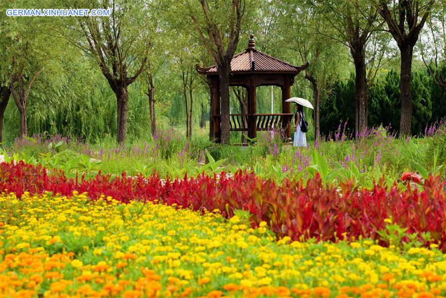 CHINA-HEBEI-HENGSHUI-SCENERY(CN)