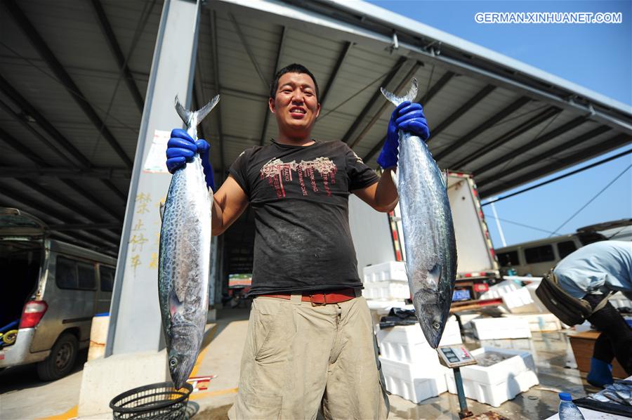 #CHINA-SHANDONG-FISHING BAN-END (CN)