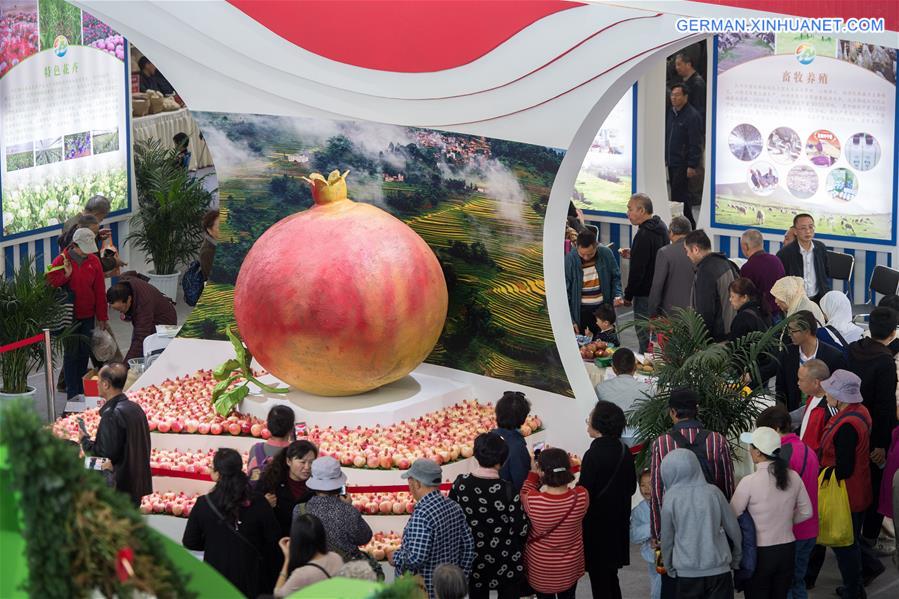 CHINA-KUNMING-AGRICULTURAL EXPO (CN)