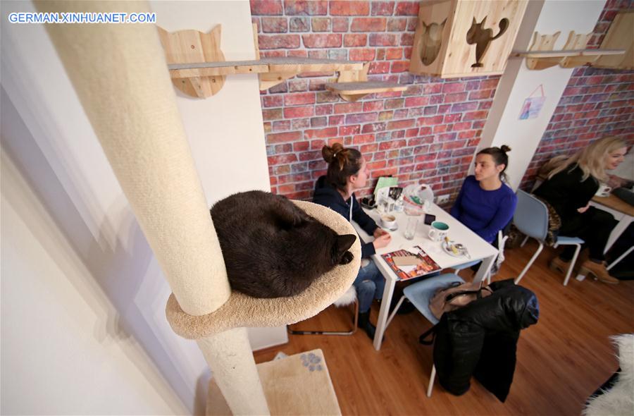 CROATIA-ZAGREB-CAT CAFFE