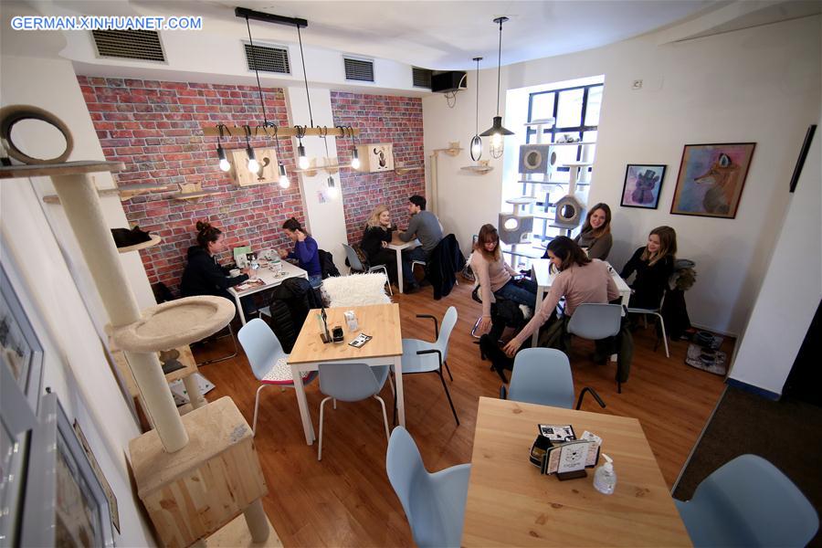 CROATIA-ZAGREB-CAT CAFFE