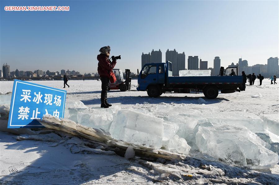 CHINA-HEILONGJIANG-HARBIN-ICE COLLECTION (CN)