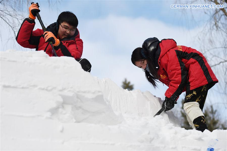 CHINA-HARBIN-SNOW SCULPTURE CONTEST(CN)