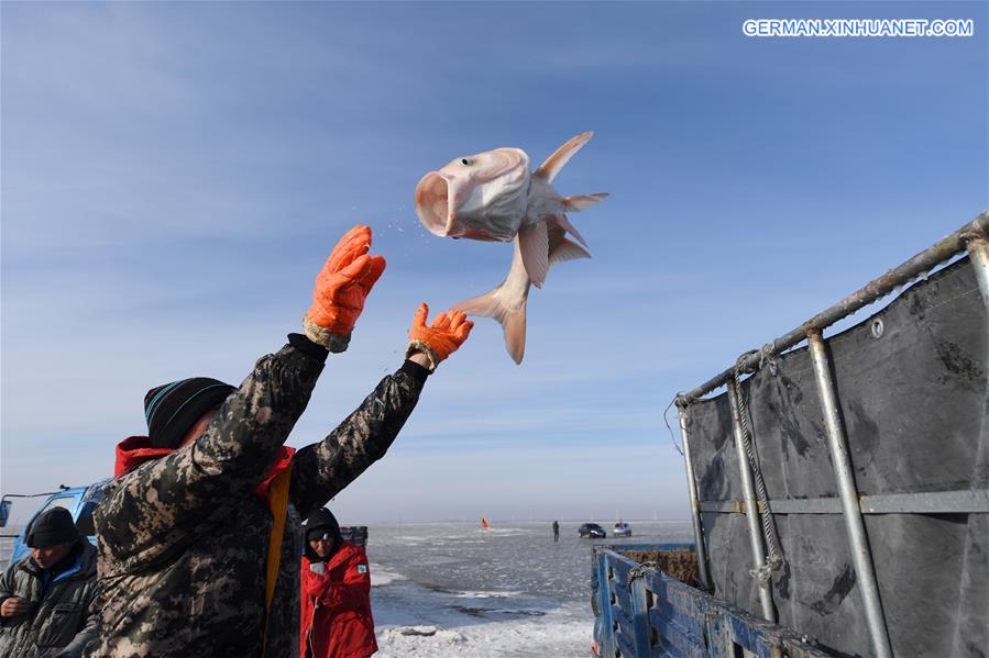 XINHUA PHOTO WEEKLY CHOICES