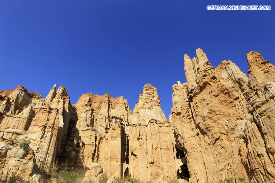 CHINA-YUNNAN-YUANMOU-EARTH FOREST (CN)