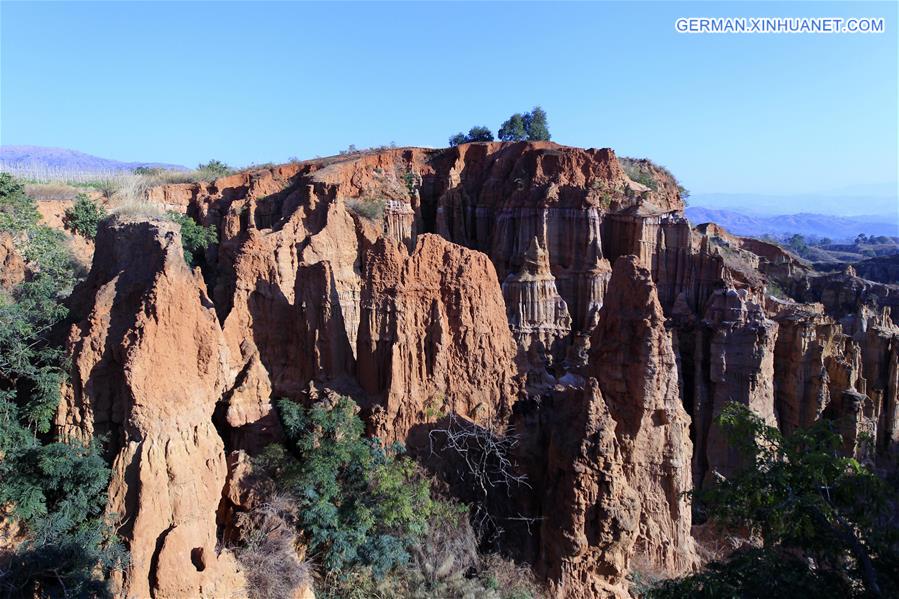 CHINA-YUNNAN-YUANMOU-EARTH FOREST (CN)