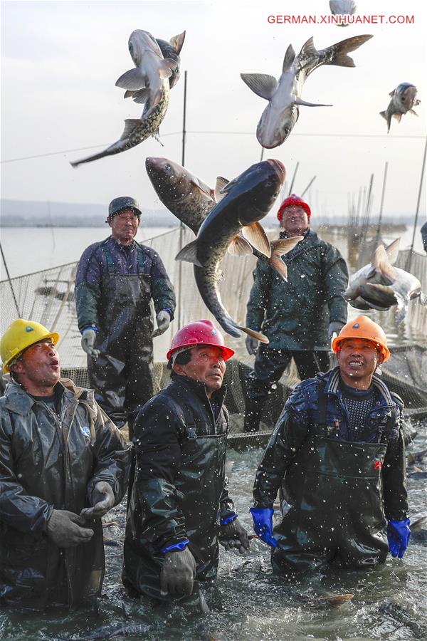 #CHINA-JIANGSU-FISH CATCHING (CN)