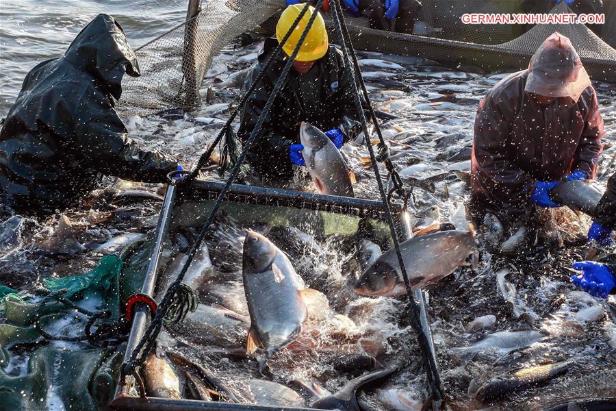#CHINA-JIANGSU-WINTER FISHING (CN)