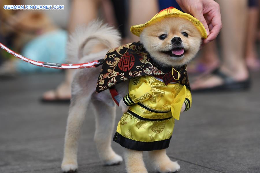 SINGAPORE-CHINATOWN-DOG COSTUME COMPETITION