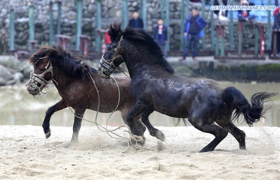#CHINA-GUANGXI-RONGSHUI-HORSE FIGHT (CN)