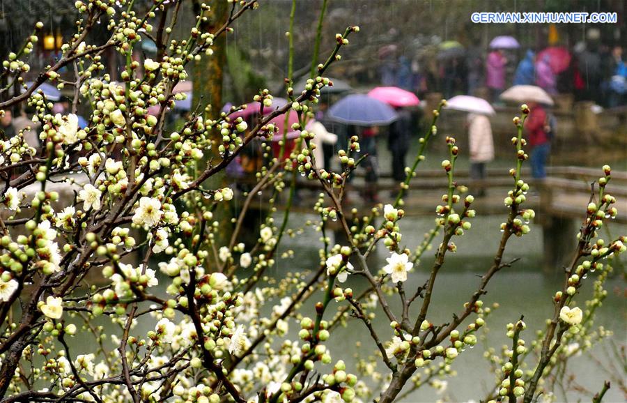#CHINA-FLOWERS IN THE RAIN-SCENERY (CN)