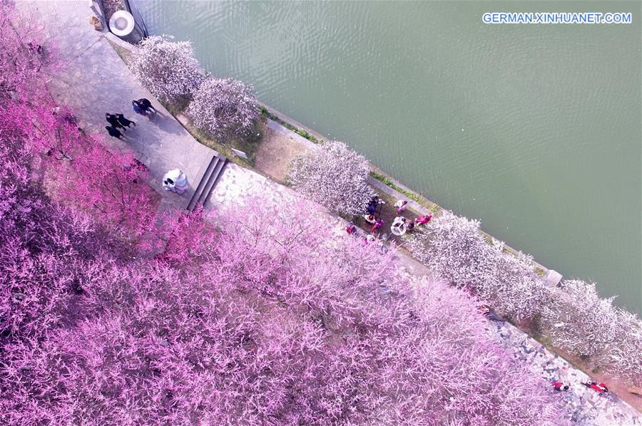 #CHINA-BEGINNING OF SPRING-FLOWER(CN)