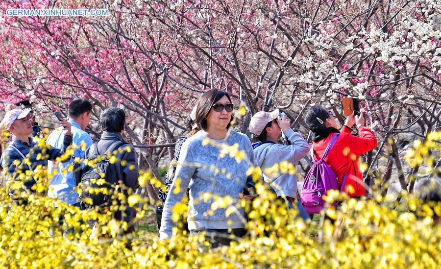 Blumen blühen in Beijing Xinhua german xinhuanet