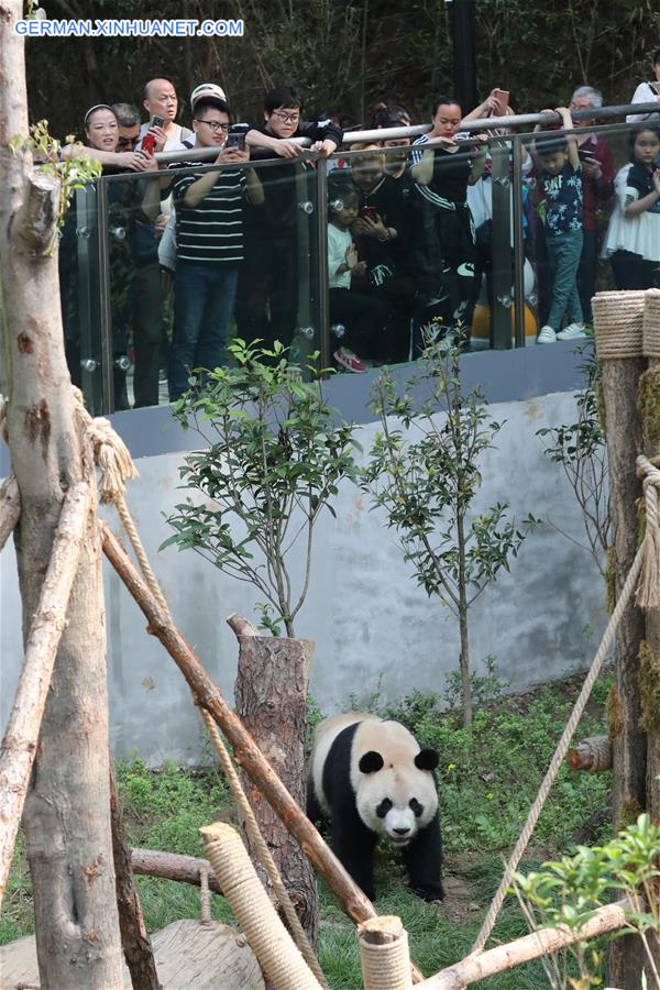 CHINA-GUIYANG-GIANT PANDAS-MEETING PUBLIC(CN)