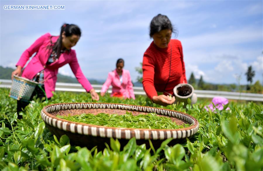 #CHINA-HUBEI-LICHUAN BLACK TEA (CN)