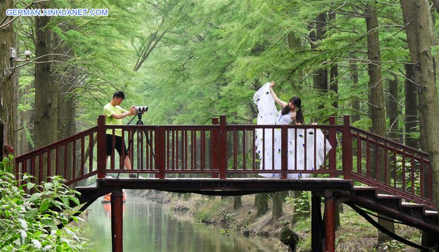 #CHINA-JIANGSU-FOREST-TOURISM(CN)