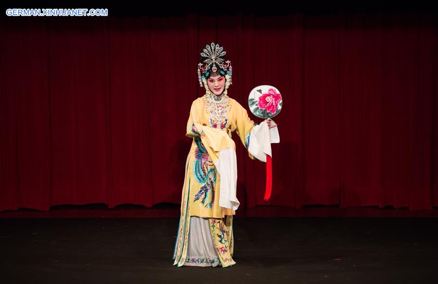 ITALY-ROME-CHINESE TRADITIONAL ARTS-SHOW