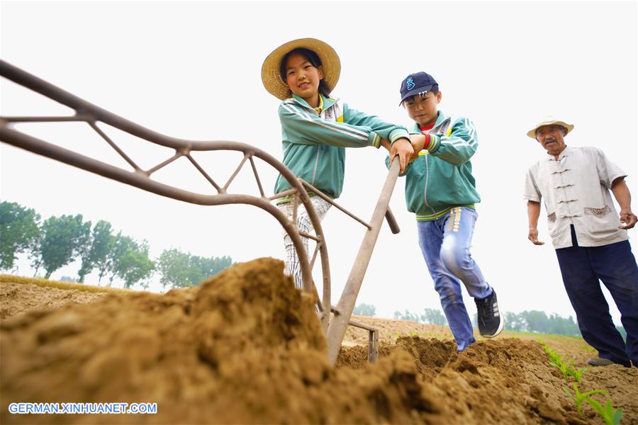 CHINA-TANGSHAN-CHILDREN-FARMING (CN)