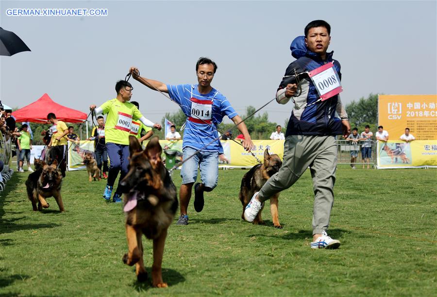 CHINA-SHANDONG-ZAOZHUANG-SHOW-ANIMAL (CN)