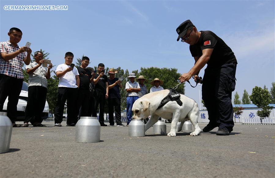 #CHINA-SHANDONG-LINYI-SNIFFER DOG-SHOW (CN) 