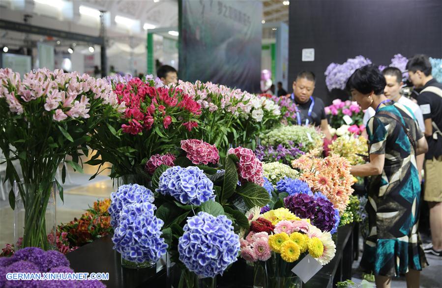 #CHINA-YUNNAN-KUNMING-INT'L FLOWER SHOW (CN)