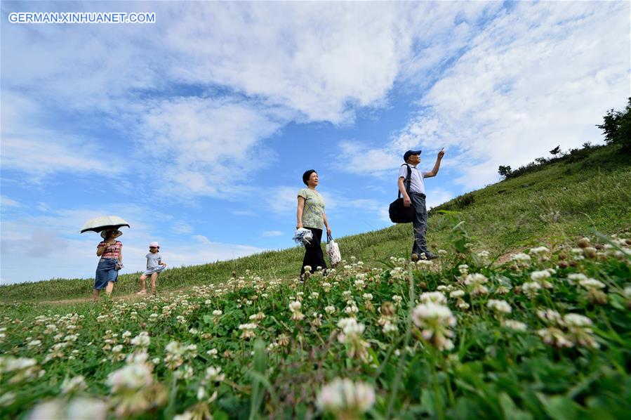 #CHINA-HUBEI-GRASSLAND (CN)