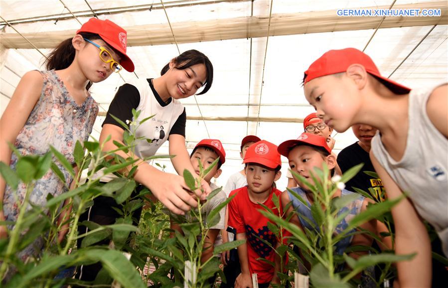 CHINA-HEBEI-HENGSHUI-CHILDREN-MODERN AGRICULTURAL GARDEN (CN)