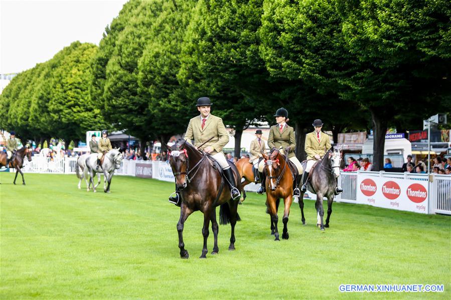 (SP)IRELAND-DUBLIN-2018 DUBLIN HORSE SHOW