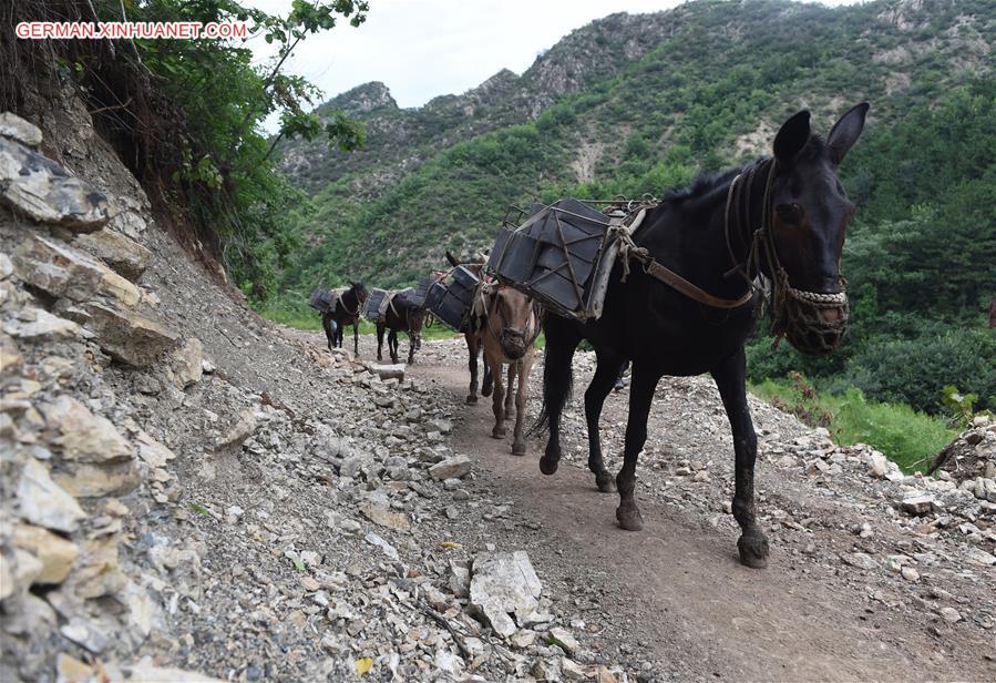CHINA-BEIJING-ANCIENT GREAT WALL-REPAIR (CN)