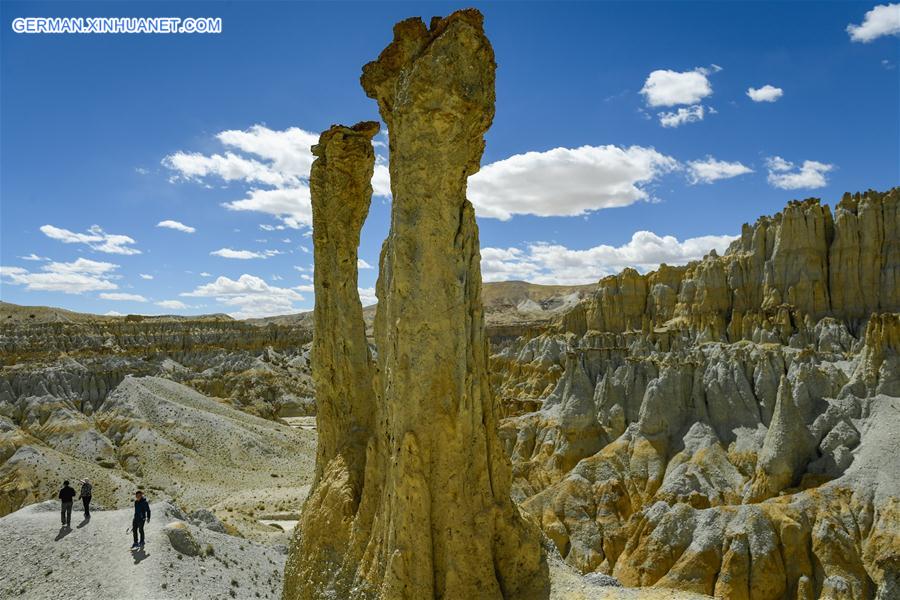 CHINA-TIBET-ALI-SCENERY-EARTH FOREST (CN)