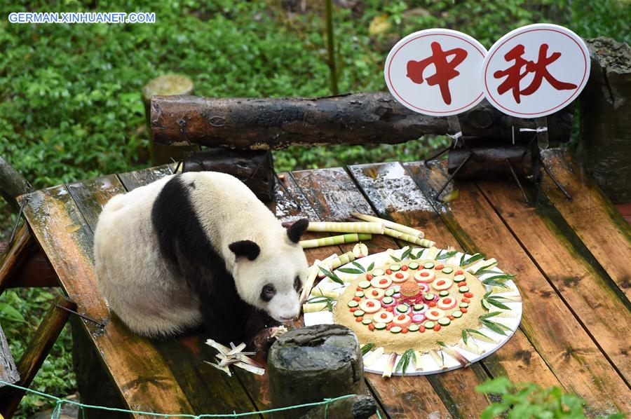 CHINA-CHONGQING-MID-AUTUMN FESTIVAL-GIANT PANDA (CN)