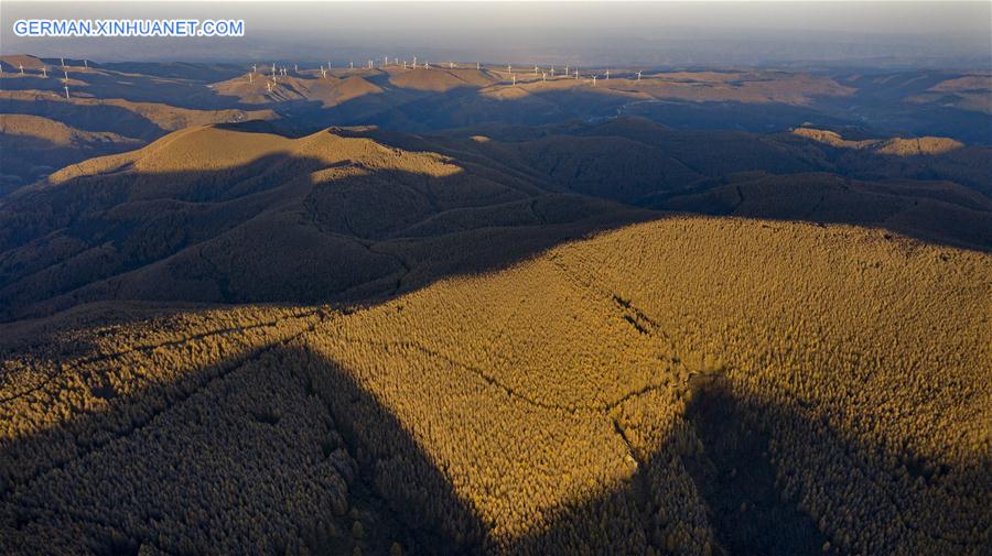 CHINA-SHANXI-QINYUAN-ENVIRONMENT-FOREST (CN)