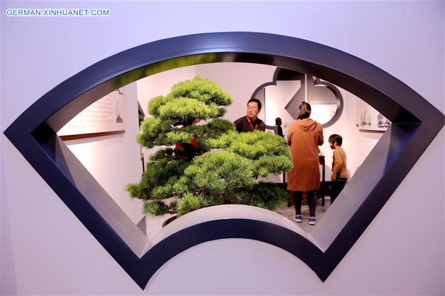 #CHINA-JIANGSU-RUGAO-BONSAI TREE MUSEUM (CN)