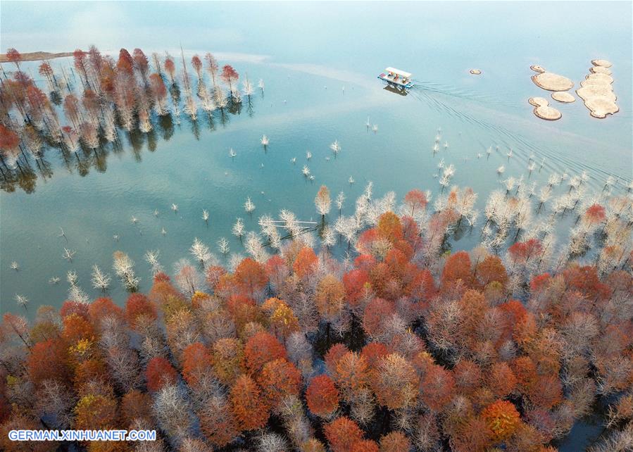XINHUA PHOTO WEEKLY CHOICES