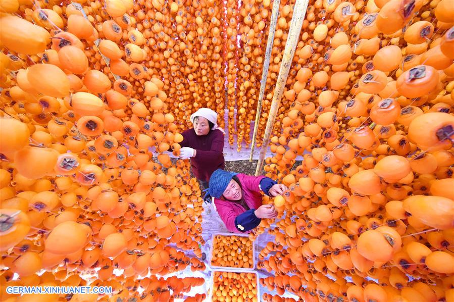 XINHUA PHOTO WEEKLY CHOICES