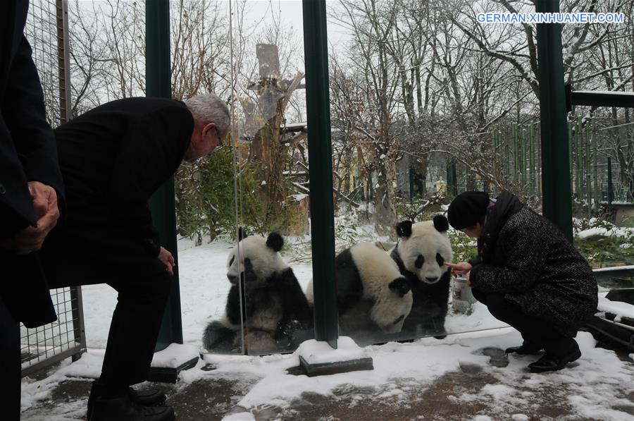 AUSTRIA-VIENNA-GIANT PANDA-TWINS-RETURNING TO CHINA