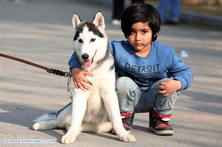 PAKISTAN-ISLAMABAD-DOG SHOW