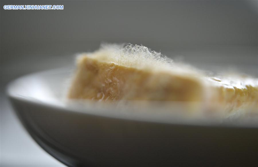 #CHINA-HUBEI-XUAN'EN-FOOD CULTURE-MILDEWED TOFU (CN)