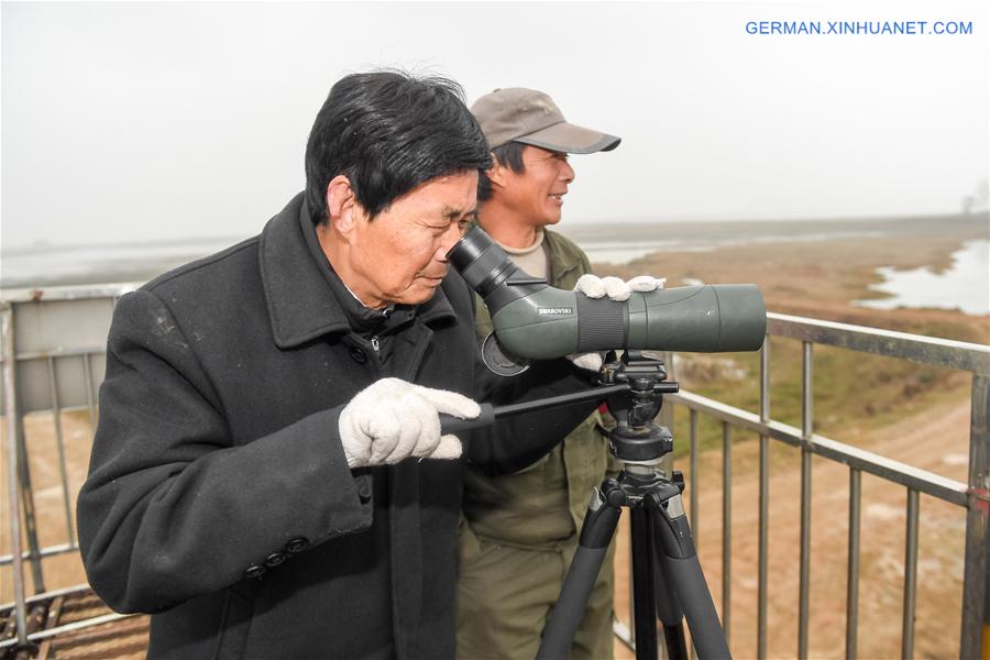 CHINA-ANHUI-MIGRANT BIRD-PROTECTOR (CN)