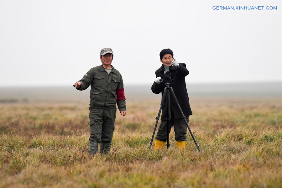 CHINA-ANHUI-MIGRANT BIRD-PROTECTOR (CN)