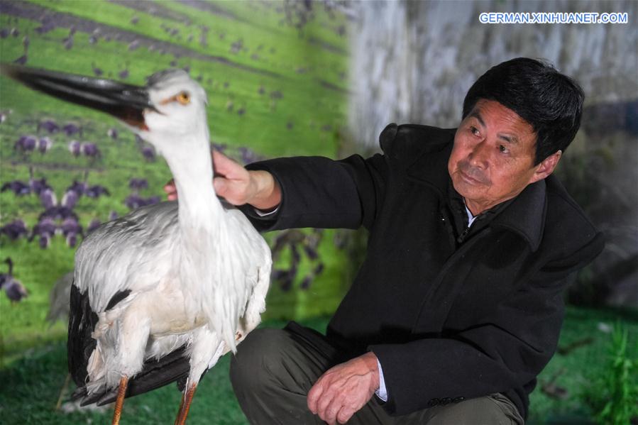 CHINA-ANHUI-MIGRANT BIRD-PROTECTOR (CN)