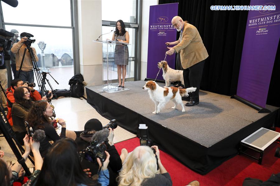 Pressevorschau der jährlichen Westminster Kennel Club Dog Show in New