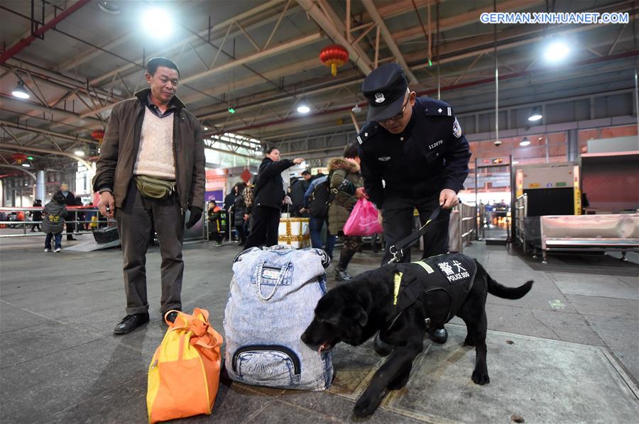 CHINA-CHONGQING-SPRING FESTIVAL-POLICE DOG (CN)