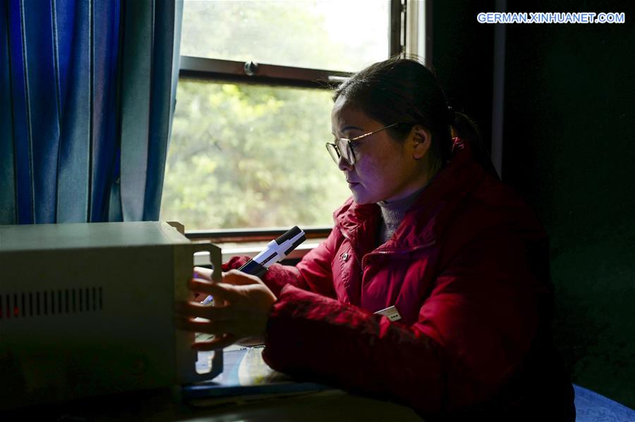 CHINA-SPRING FESTIVAL-TRAVEL RUSH-GREEN TRAIN (CN)