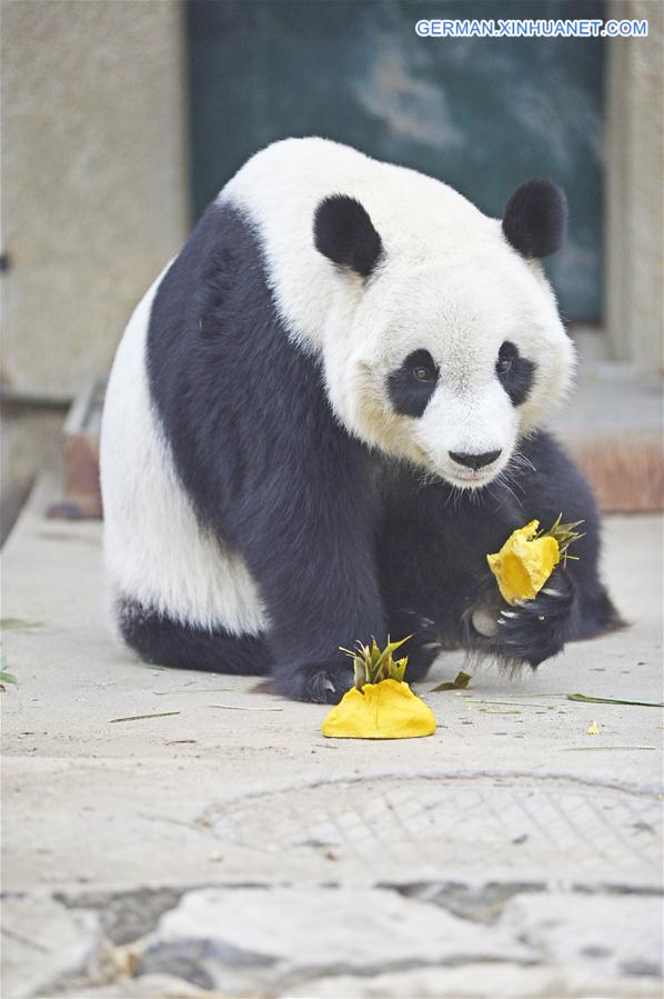 #CHINA-TIANJIN-SPRING FESTIVAL-ZOO (CN)