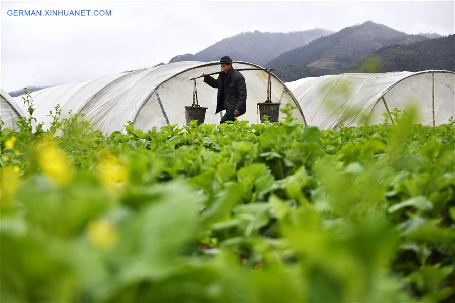 #CHINA-EARLY SPRING-AGRICULTURE (CN)