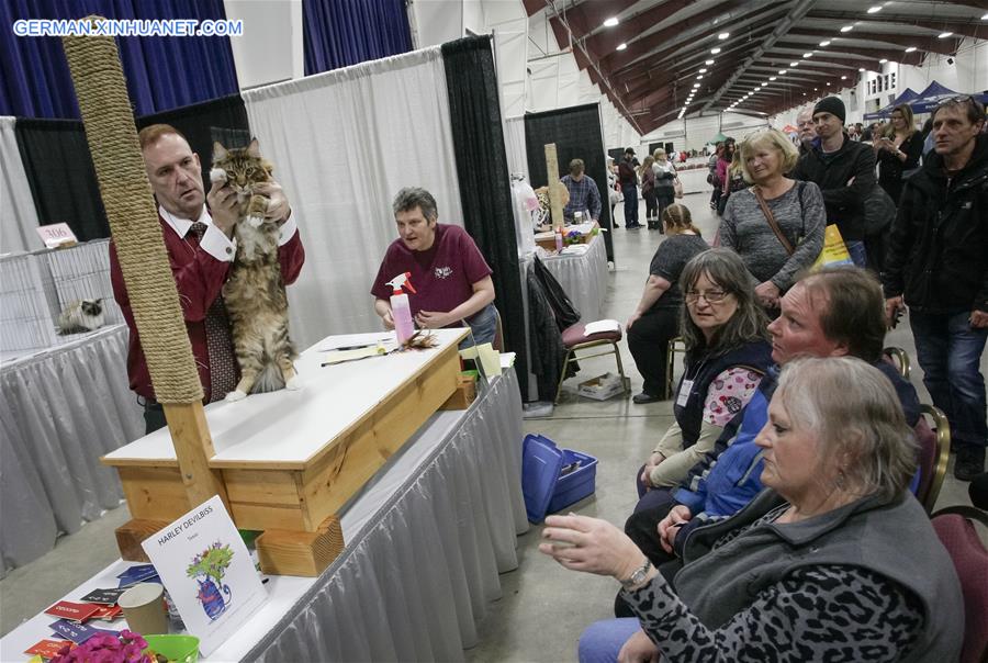 CANADA-VANCOUVER-CAT SHOW